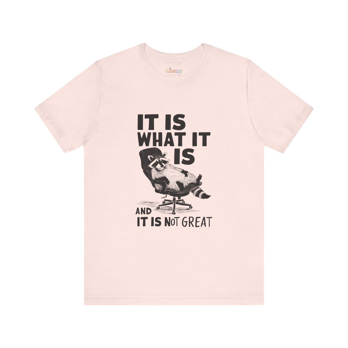 Es ist, wie es ist (und es ist nicht großartig) – Unisex-Grafik-T-Shirt