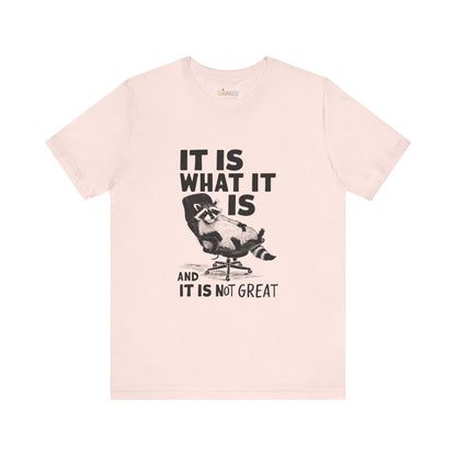 Es ist, wie es ist (und es ist nicht großartig) – Unisex-Grafik-T-Shirt