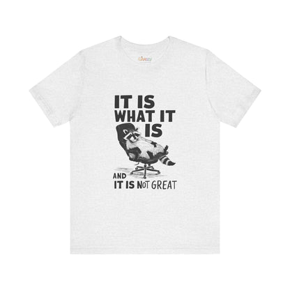 Es ist, wie es ist (und es ist nicht großartig) – Unisex-Grafik-T-Shirt