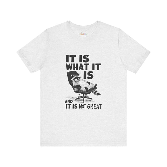 Es ist, wie es ist (und es ist nicht großartig) – Unisex-Grafik-T-Shirt