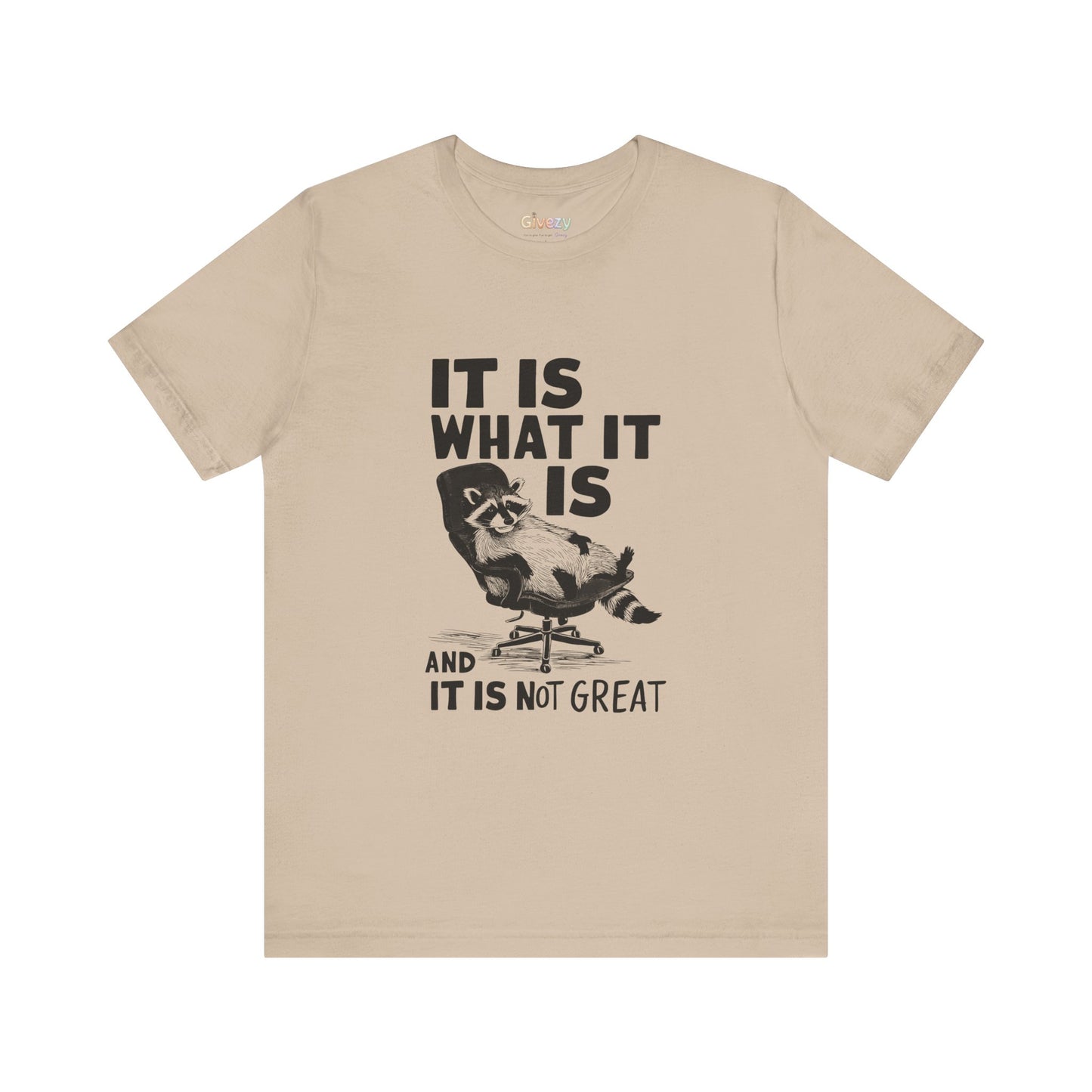 Es ist, wie es ist (und es ist nicht großartig) – Unisex-Grafik-T-Shirt