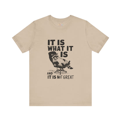 Es ist, wie es ist (und es ist nicht großartig) – Unisex-Grafik-T-Shirt