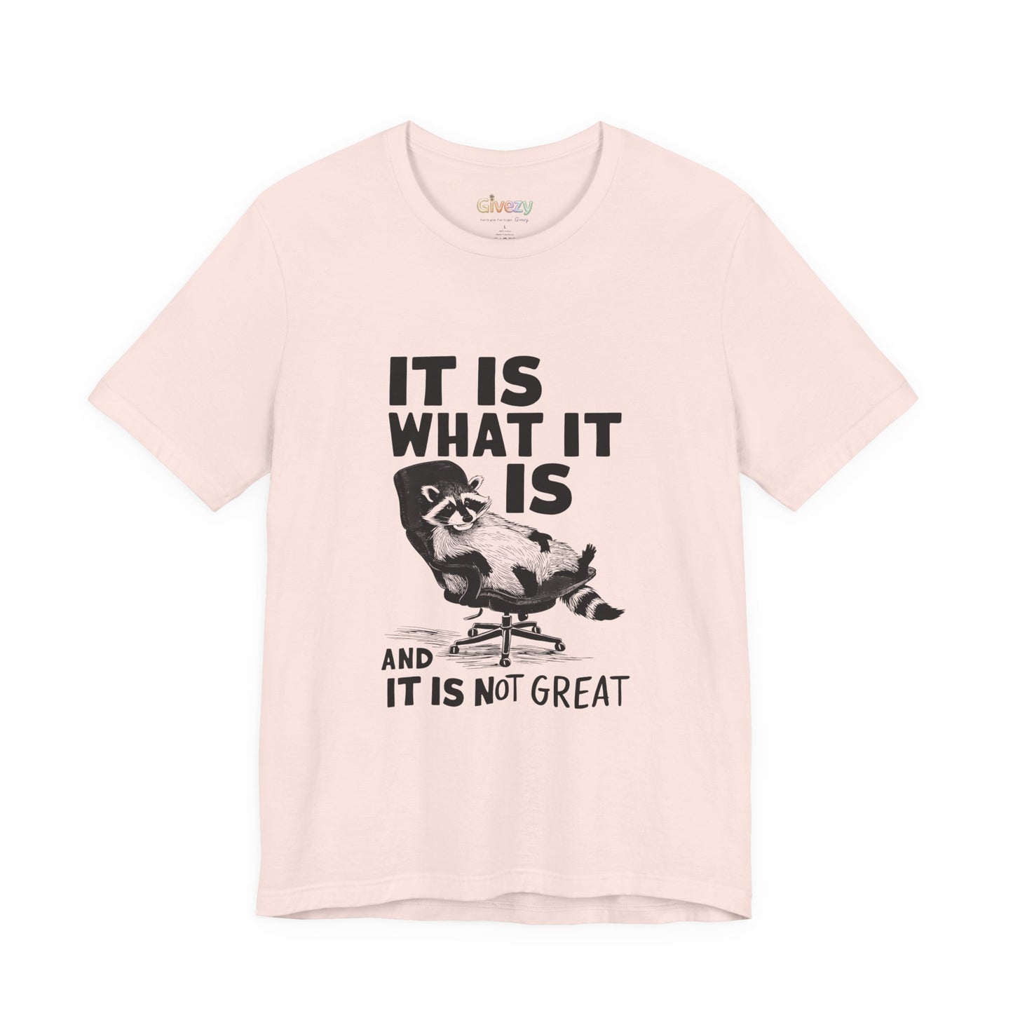 Es ist, wie es ist (und es ist nicht großartig) – Unisex-Grafik-T-Shirt