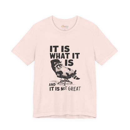 Es ist, wie es ist (und es ist nicht großartig) – Unisex-Grafik-T-Shirt