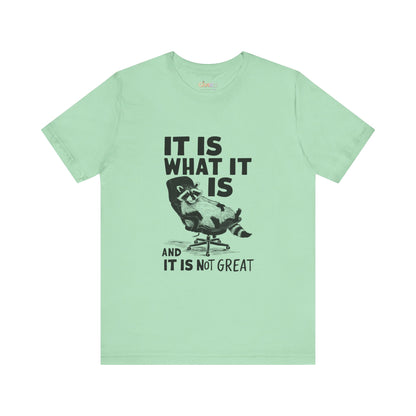 Es ist, wie es ist (und es ist nicht großartig) – Unisex-Grafik-T-Shirt