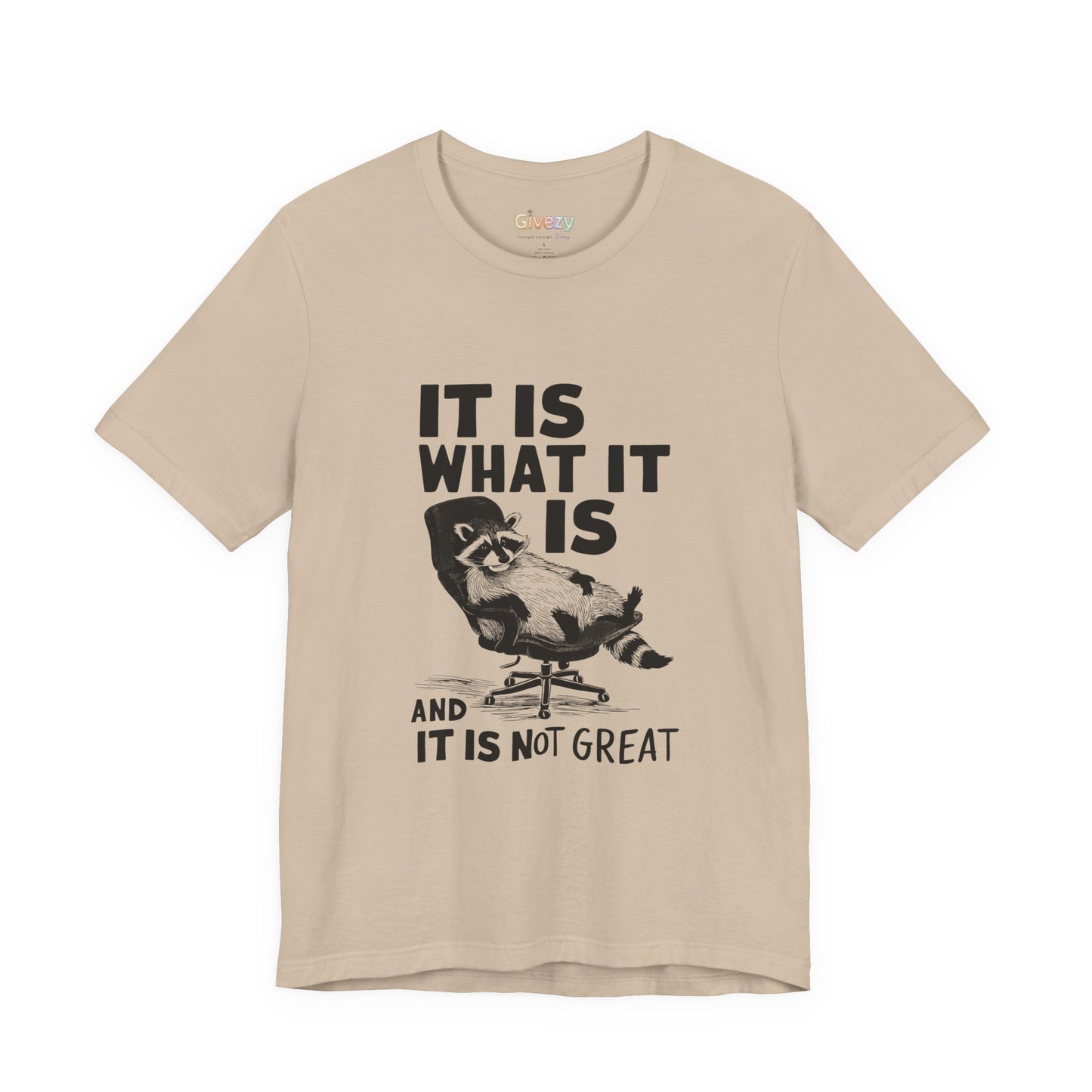 Es ist, wie es ist (und es ist nicht großartig) – Unisex-Grafik-T-Shirt