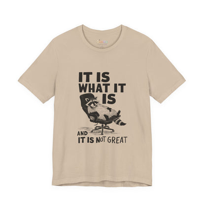 Es ist, wie es ist (und es ist nicht großartig) – Unisex-Grafik-T-Shirt