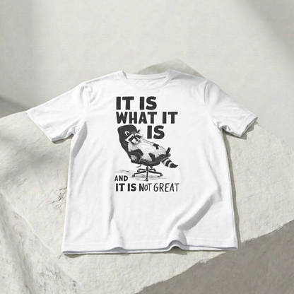 Es ist, wie es ist (und es ist nicht großartig) – Unisex-Grafik-T-Shirt