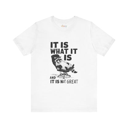 Es ist, wie es ist (und es ist nicht großartig) – Unisex-Grafik-T-Shirt