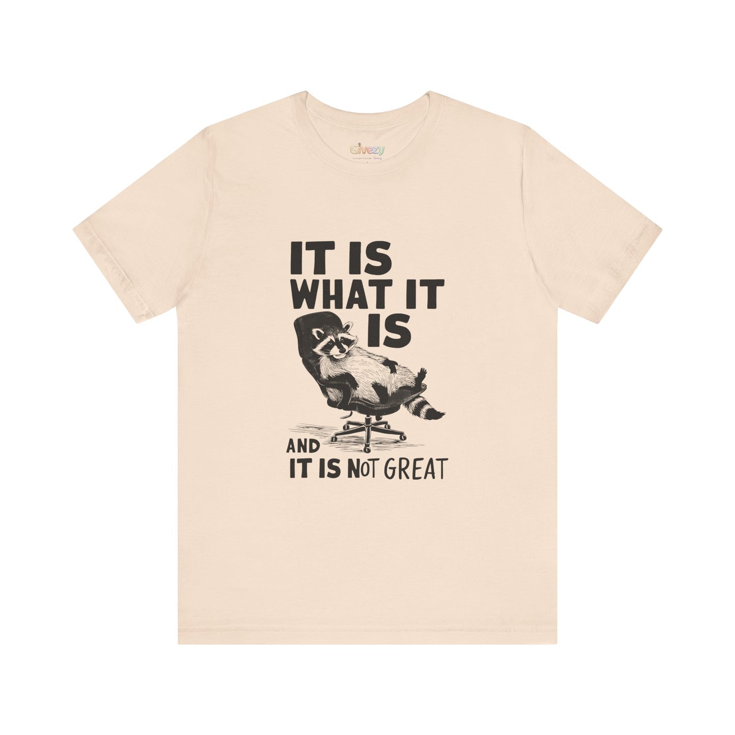 Es ist, wie es ist (und es ist nicht großartig) – Unisex-Grafik-T-Shirt