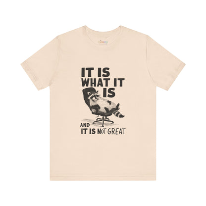 Es ist, wie es ist (und es ist nicht großartig) – Unisex-Grafik-T-Shirt