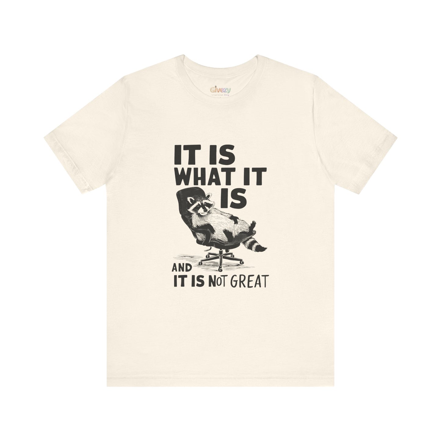 Es ist, wie es ist (und es ist nicht großartig) – Unisex-Grafik-T-Shirt