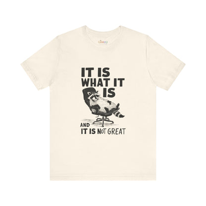 Es ist, wie es ist (und es ist nicht großartig) – Unisex-Grafik-T-Shirt