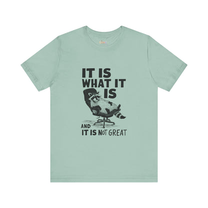 Es ist, wie es ist (und es ist nicht großartig) – Unisex-Grafik-T-Shirt